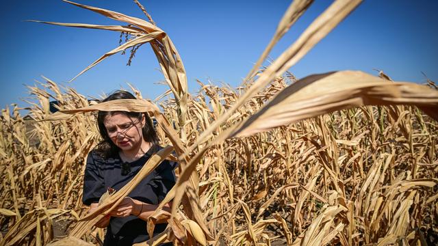 Institute for Global Health: Klimawandel belastet laut Studie Schlaf und Gesundheit