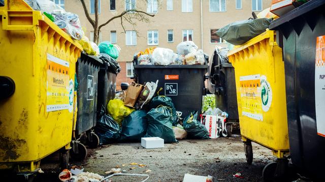 Rattenplage: Vorsicht, Ratten!