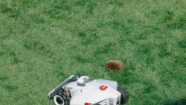 Mähroboter im Test: Sicher, dass Ihr Rasenmäher keine Igel zerhäckselt?