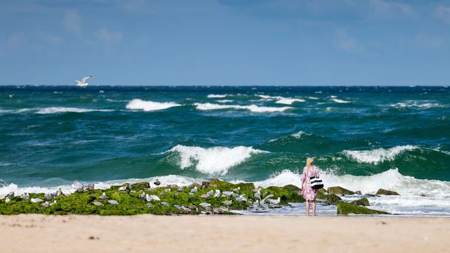 Klimaerwärmung: Nordsee im Sommer außergewöhnlich warm