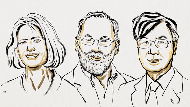 Nobelpreis 2025: Medizin-Nobelpreis für Grundlagenforschung zum Immunsystem