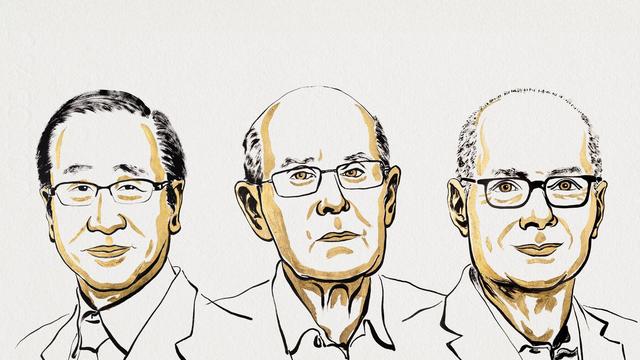 Nobelpreis für Chemie: Chemie-Nobelpreis für Entwickler neuer Molekülstrukturen