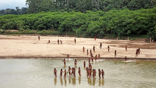 Indigene Bevölkerung: Menschenrechtler gehen von 200 unkontaktierten Gruppen weltweit aus