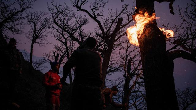 Unesco-Weltkulturerbe: Brände verwüsten Hyrkanische Wälder im Iran