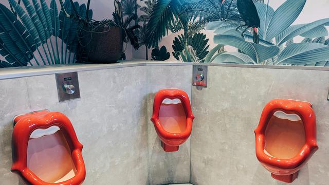 (+) Toilettenangst: Können Sie auch nicht pinkeln, wenn jemand daneben steht?