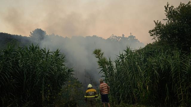 Waldbrände 2025: Waldbrände führen 2025 zu bisher höchsten Emissionen in Europa