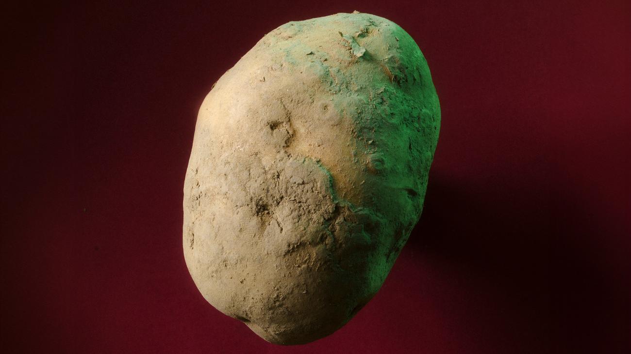 Kartoffeln in Berlin: Was nun, Pommes für alle?