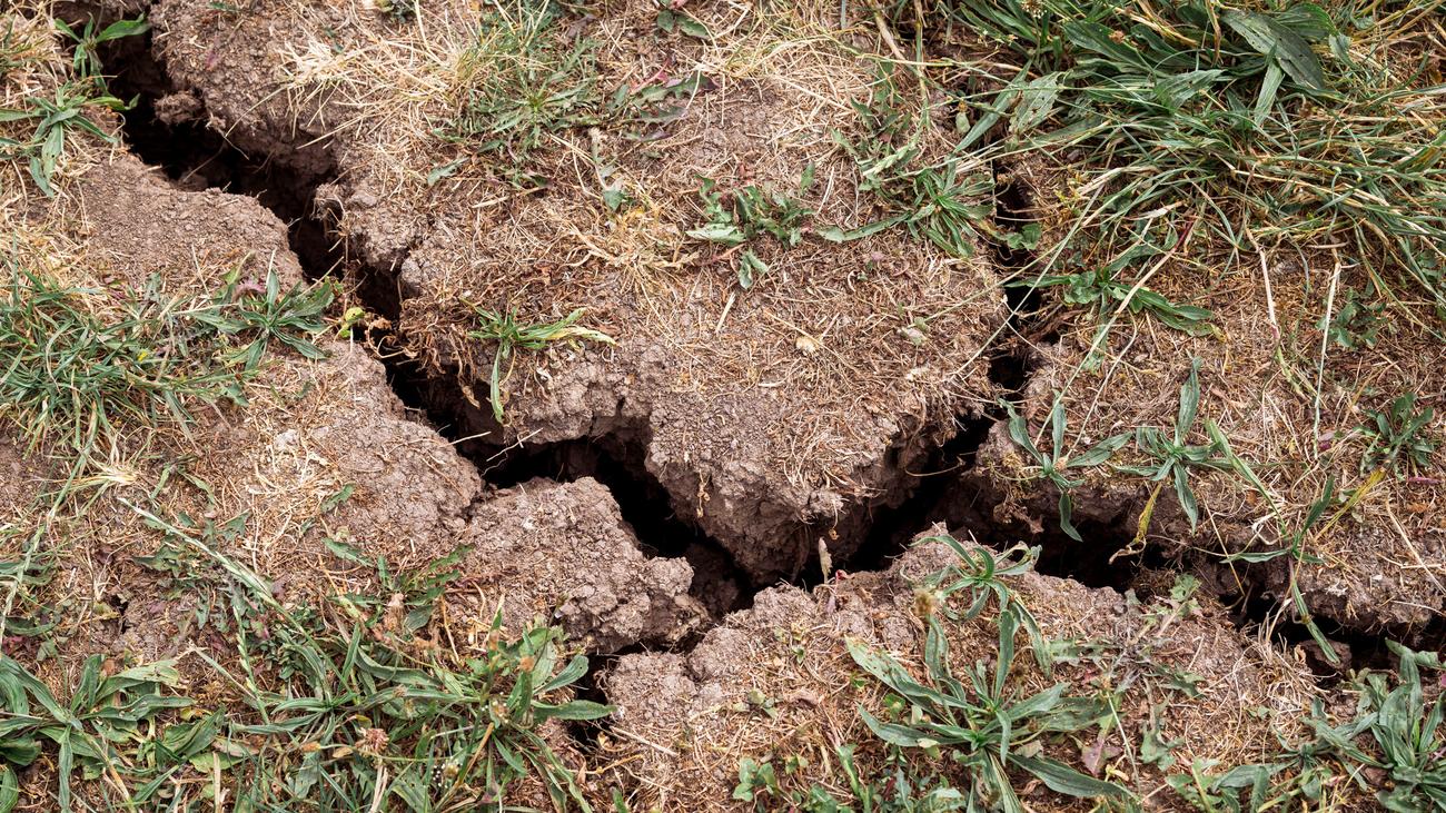 Wassermangel: Deutschland drohen laut Nabu hohe Schäden durch Wasserknappheit
