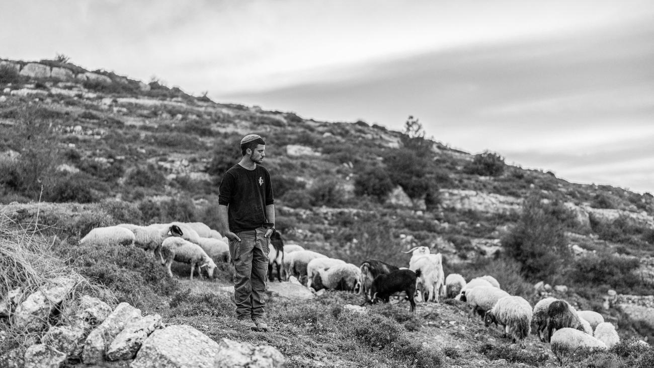 Israelische Siedlungsbewegung: Die Macht der Siedler: Israel und das Westjordanland