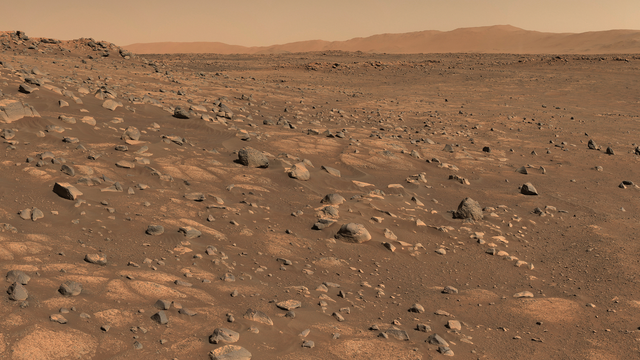 Bild: Marsbesiedlung: Erst die Maus, dann der Mensch?