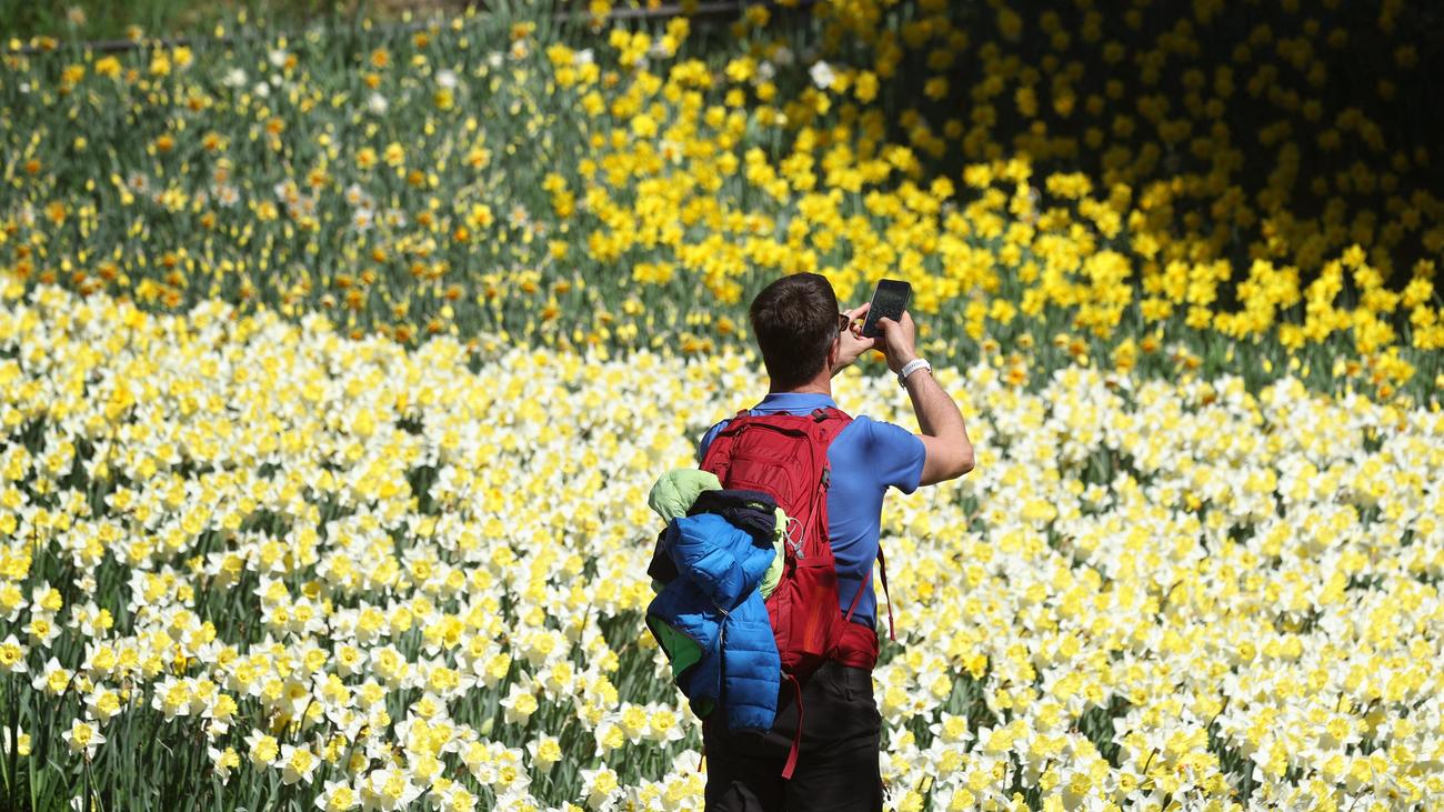 Wetter: Meteorologen erwarten erste Sommertage mit mehr als 25 Grad