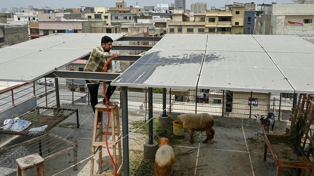 Ausstieg aus fossiler Energie: Pakistans Energiewende wird von Privathaushalten vorangetrieben. Viele bauen Solarpaneele auf ihre Dächer, andere haben umgeschult und arbeiten nun als Energieberater.