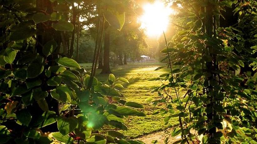 Berliner Gartenkolonie: Das Paradies auf Erden | ZEIT ONLINE