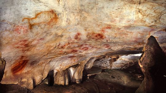Unter-Wiszternitz Originalabgus Steinzeit Höhlen-Bärenzahn ca 26.000 Jahre 