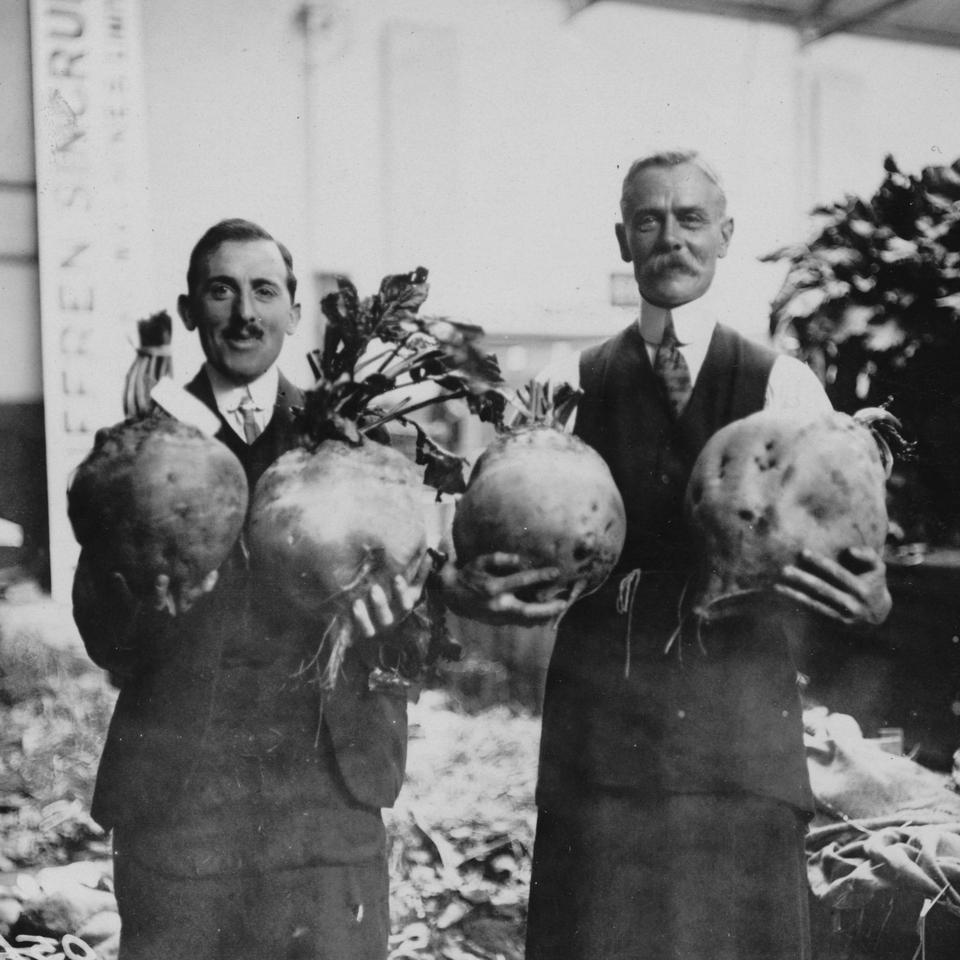 Wer gilt als der erste bekannte Vegetarier der Geschichte?