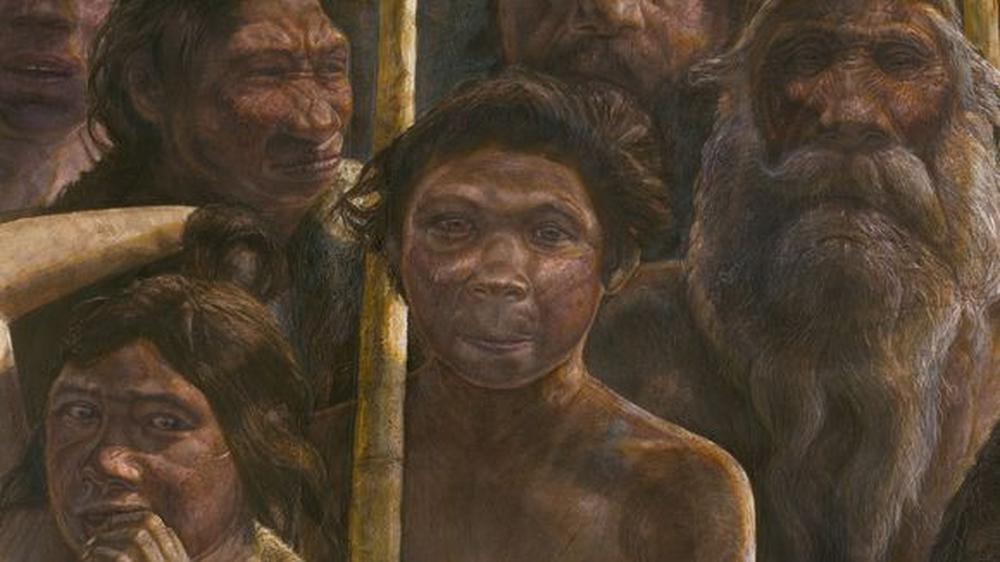 Uralte DNA entziffert: Gefeiertes Frühmenschen-Genom hinterlässt Forscher ratlos | ZEIT ONLINE
