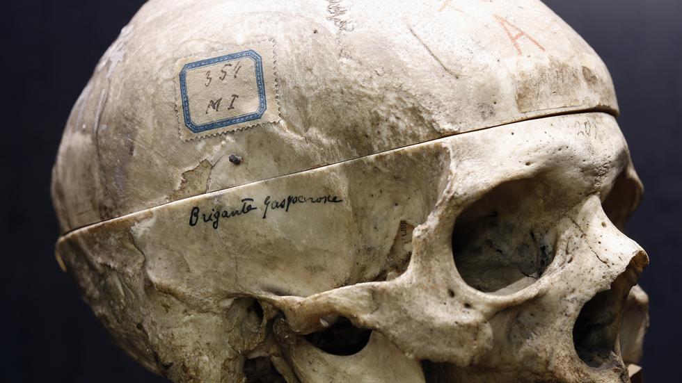 Kriminologie: Der italienische Psychiater Cesare Lombroso untersuchte im 19. Jahrhundert Schädel von Kriminellen – wie auch den des Kriminellen "Gasparone", ausgestellt im Lombroso Museum in Turin.