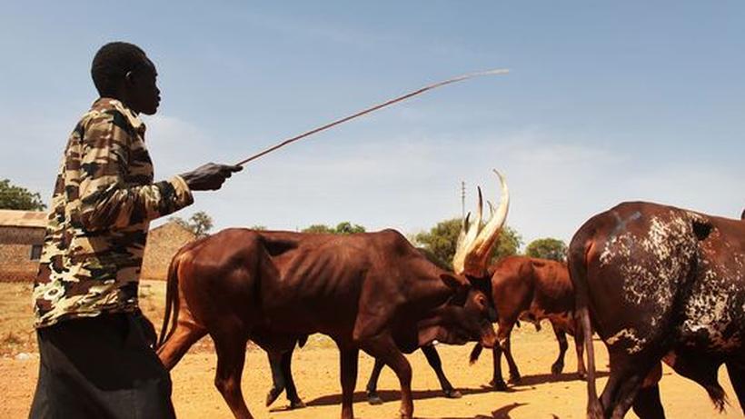 Online datiert nach Südafrika