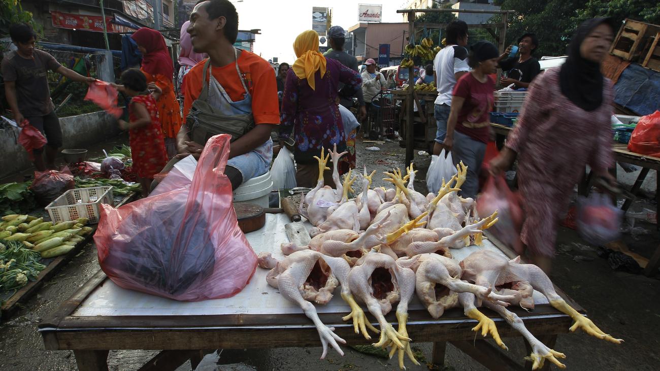 Organisasi Kesehatan Dunia: 420 ribu kematian setiap tahunnya karena makanan yang terkontaminasi