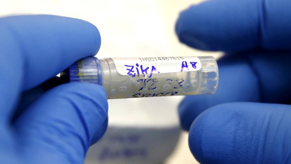 Lateinamerika: Brasilien behindert die Zika-Forschung | ZEIT ONLINE