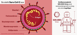 Sars Cov 2 Die Wege Des Virus Zeit Online