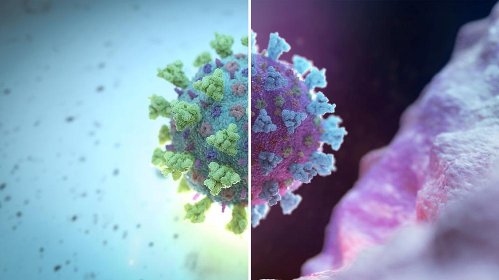 Mutationen des Coronavirus: Alle Viren mutieren. Auch das neue Coronavirus wandelt sich ständig.