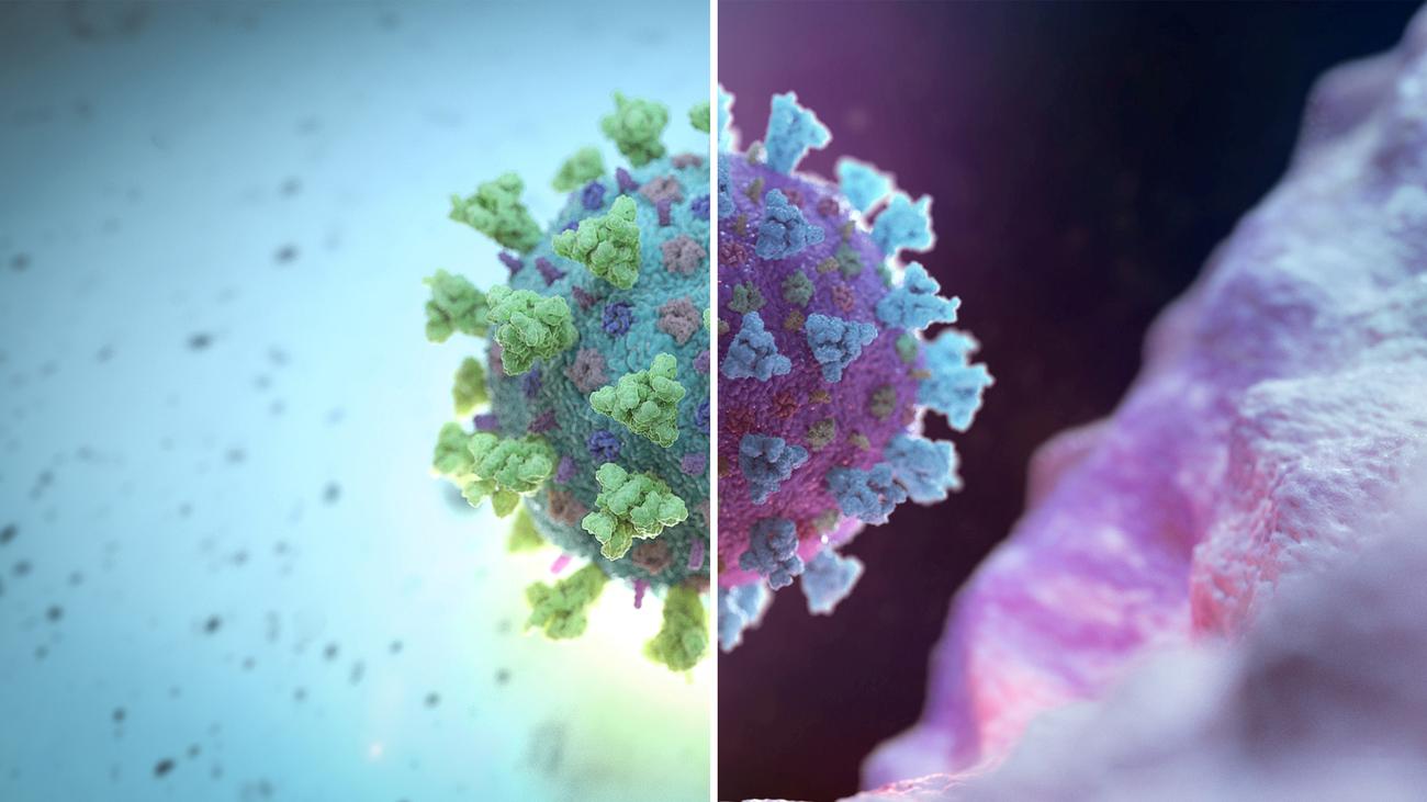 Mutationen Des Coronavirus Es Mutiert Zeit Online