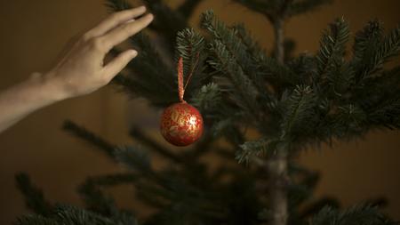 Weihnachten Ich Hoffe So Sehr Dass Meine Familie Mich Zu Sich Holt Zeit Online