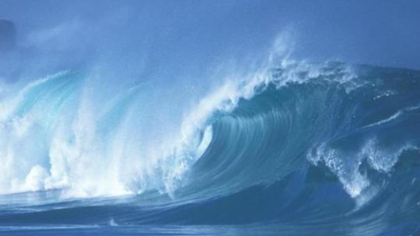 Lärmverschmutzung im Ozean: Sauer macht laut | ZEIT ONLINE