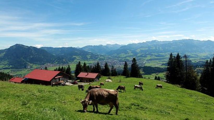 Partnersuche alpen