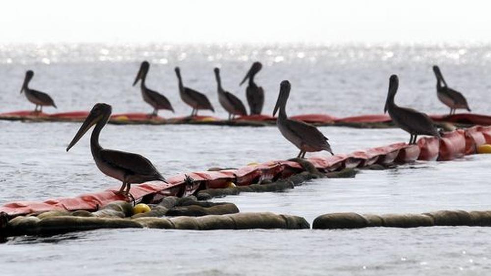 Ölpest Golf von Mexiko: BP erkauft sich Klageverzicht