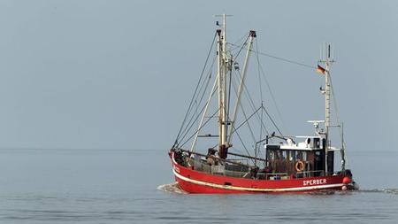 Fangquoten Eu Schrankt Fischfang In Der Nordsee Ein Zeit Online
