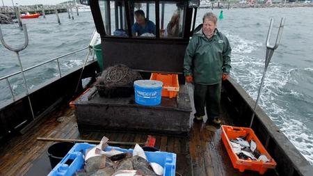 Fischerei Rettet Den Hering Zeit Online