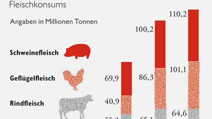 Klimawandel: Fleischkonsum und Waldvernichtung | ZEIT ONLINE