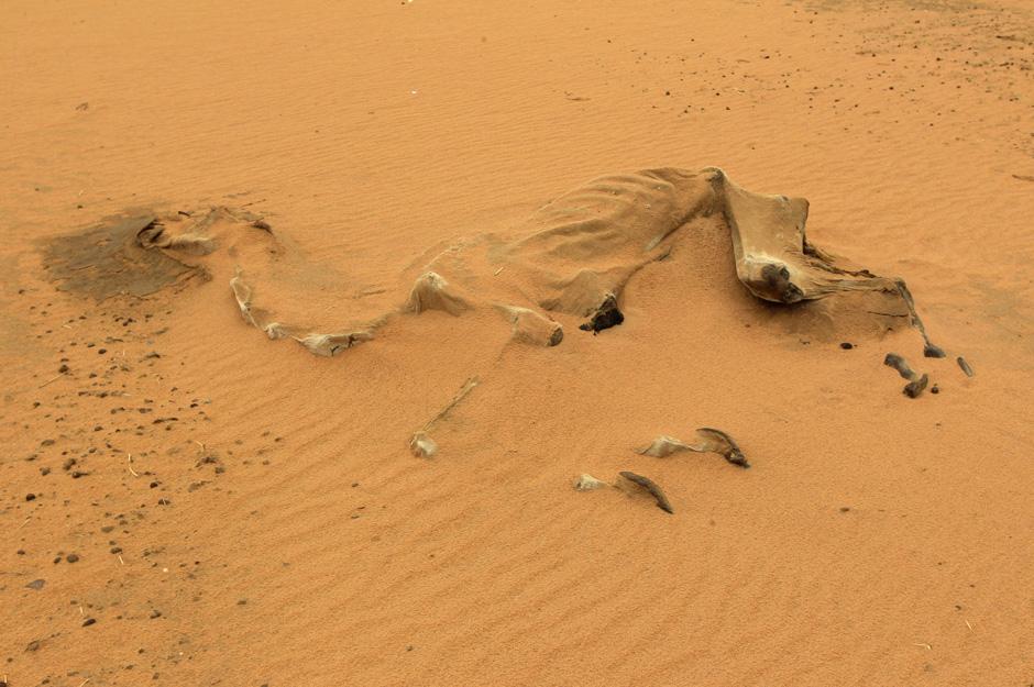 Bilder aus Sudan Ein Land im Kampf gegen die Wüste ZEIT ONLINE