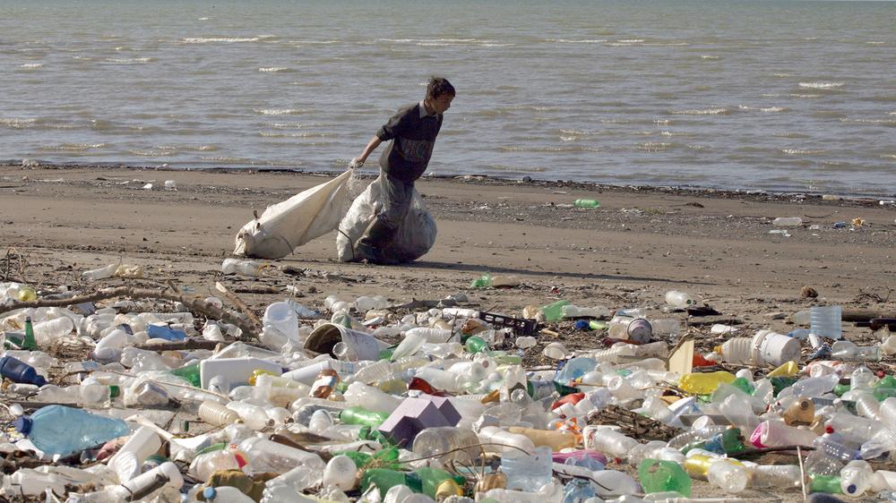 Müll Verschmutzung Meer Plastik