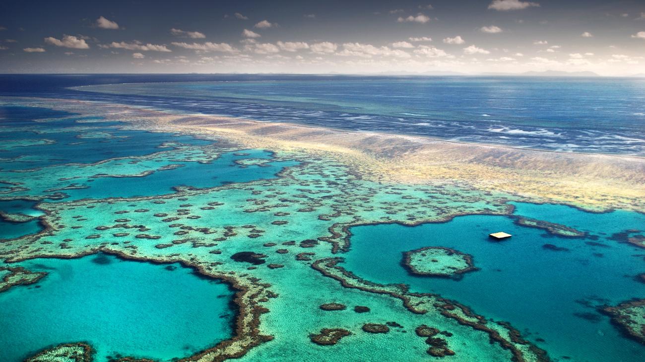 Great Barrier Reef Bald Konnte Australiens Welterbe Im Matsch Versinken Zeit Online