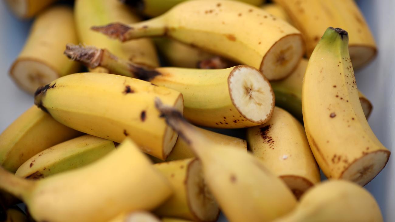 Botanik Banane In Not Zeit Online