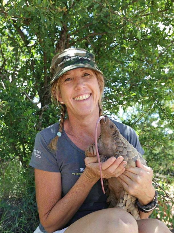 Was ist ein Schuppentier?: Im Jahr 2000 gründete die Tierschützerin Maria Diekmann die Organisation Rest in Namibia. Seitdem das Schuppentier Roxy in ihrem Schoß ein Junges gebar, hat sich die US-Amerikanerin dem Schutz der meistgejagten und -gehandelten Säugetiere der Welt verschrieben.