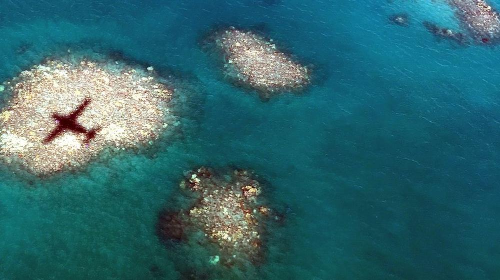 korallensterben-bleich-bleicher-great-barrier-reef-die-zeit