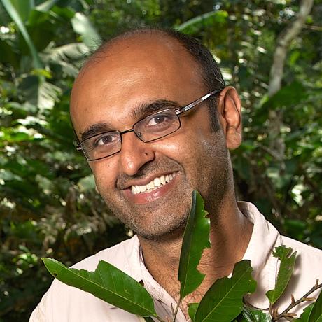 Klimawandel: Ökosystemwissenschaftler Yadvinder Malhi