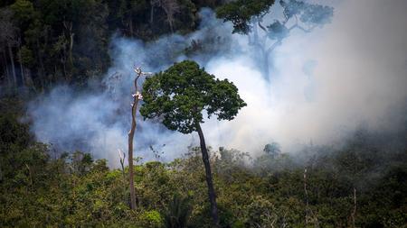 Brasilianische Bundesstaaten Wollen Den Amazonas Fonds Retten Zeit Online