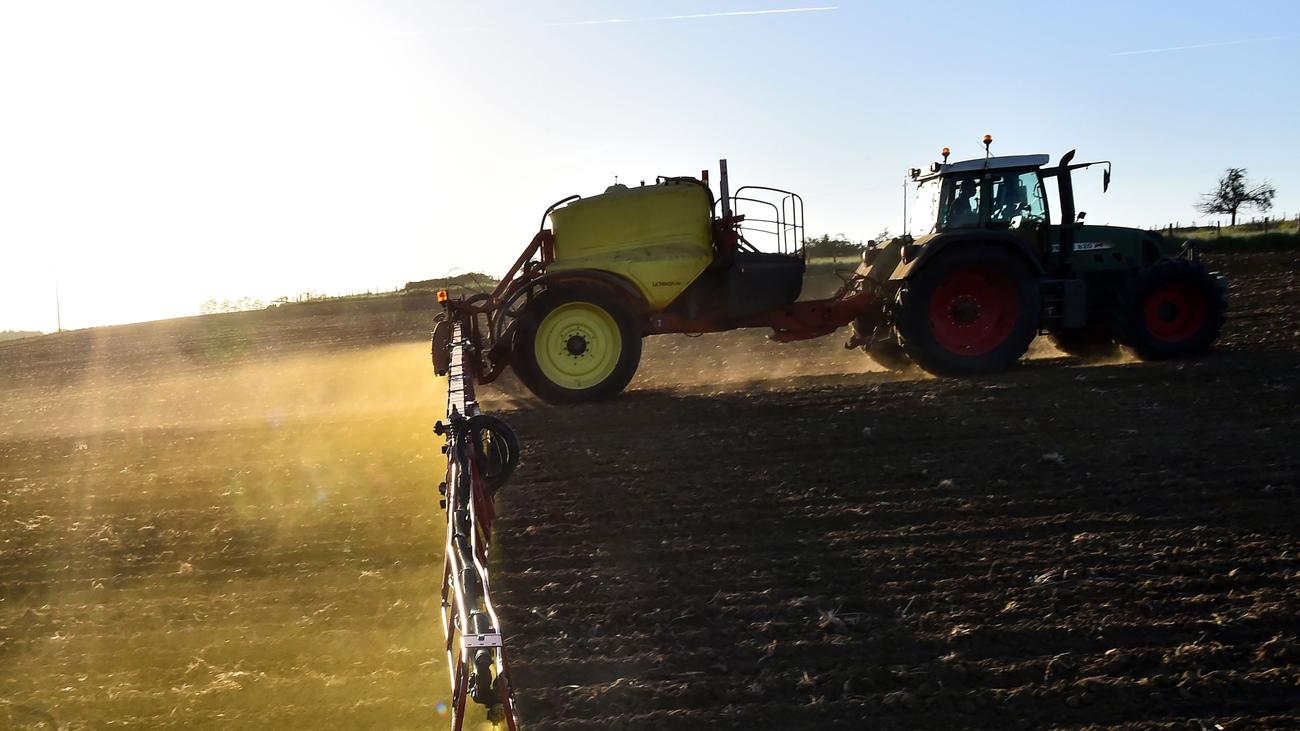 Glyphosat Monsanto Finanzierte Auch In Deutschland Verdeckt Studien Zeit Online