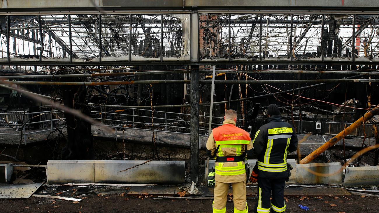 Feuer Im Zoo Krefeld Zwei Schimpansen Uberleben Brand Im