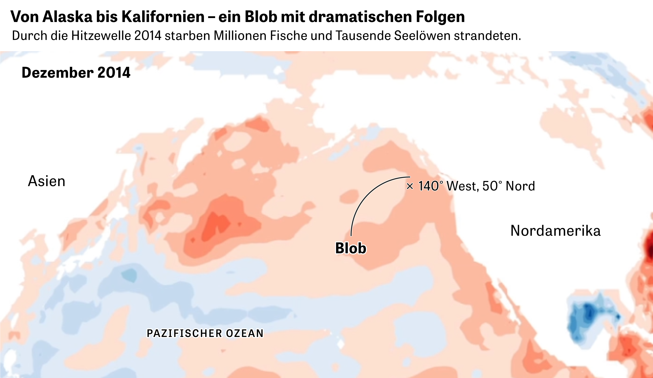 Klimawandel: In der Hitze der Ozeane | ZEIT ONLINE