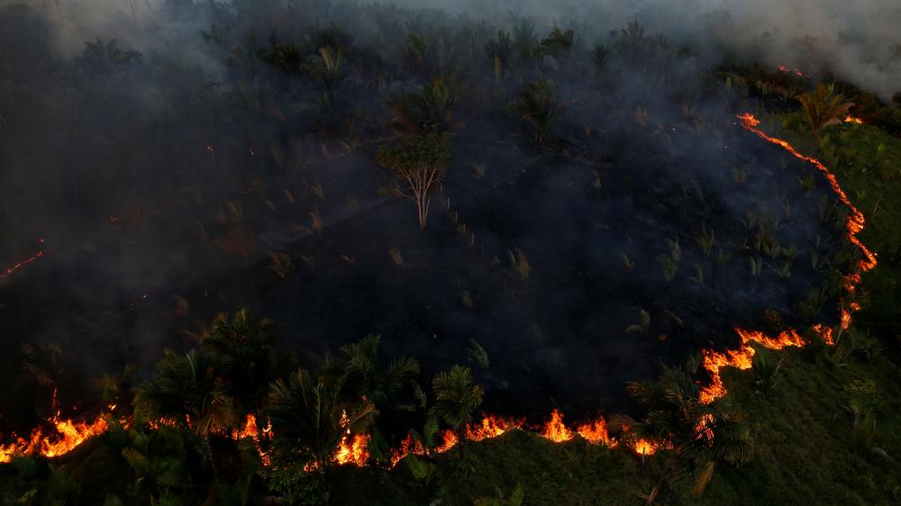 Amazonas: So viel wie im vergangenen Monat hat es im Juni seit 13 Jahren nicht im Amazonasgebiet gebrannt. 