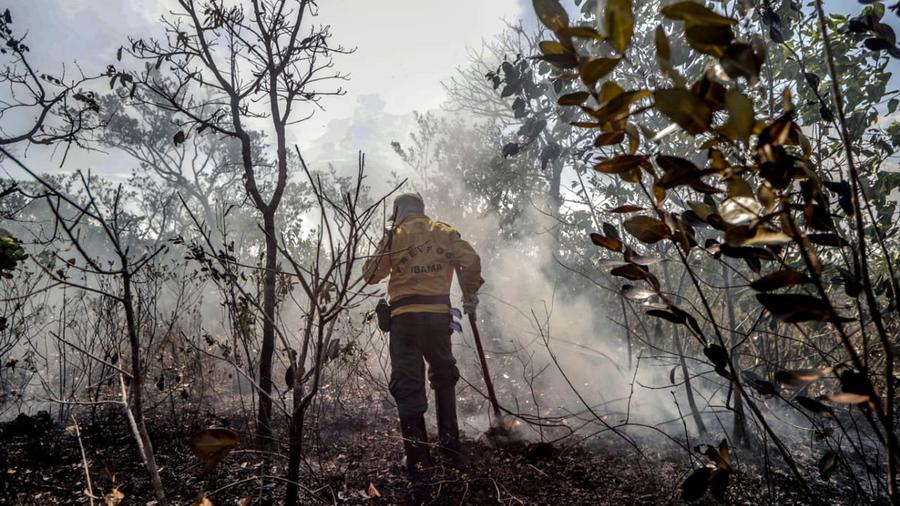 Brasilien Regenwald Am Amazonas Brennt Wie Schon Lange Nicht Mehr Zeit Online