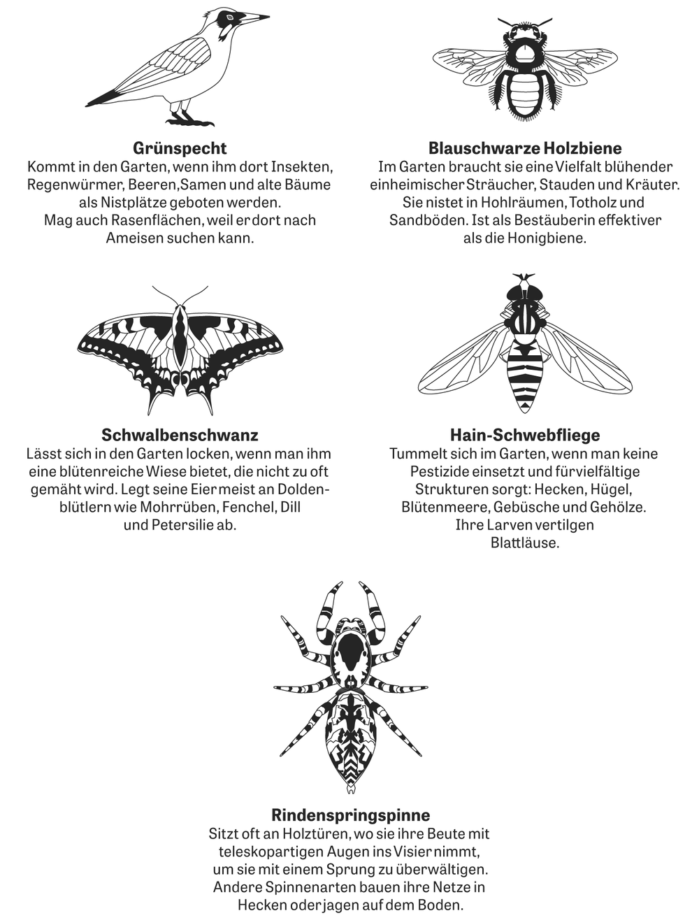 Gärten und Stadtplanung Die Lösung lautet Wildnis und