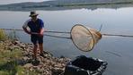 Fischsterben: Polen berichtet von toxischen Algen im Oderwasser