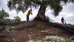 Dürre: Spanien rechnet auch im Herbst mit Dürre